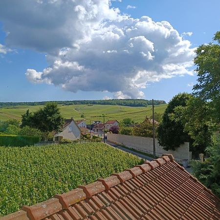 Gite Independant Diz'Enreves Au Coeur Des Vignes Dizy Bagian luar foto