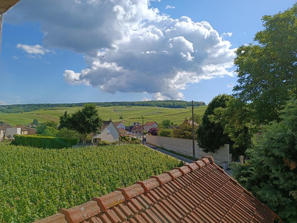 Gite Independant Diz'Enreves Au Coeur Des Vignes Dizy Bagian luar foto