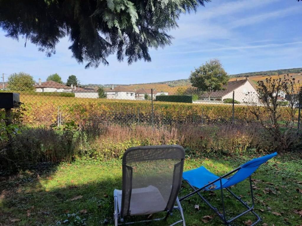 Gite Independant Diz'Enreves Au Coeur Des Vignes Dizy Bagian luar foto